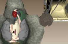Virtual Reality Frog Dissection Software