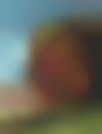 Edible Landscapes II