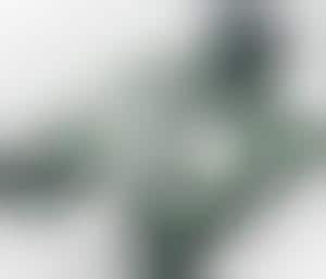 Video LCD Binoculars