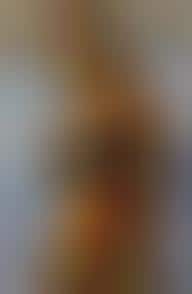 Digital Calendar Girls To Go