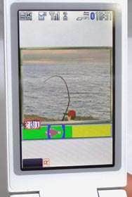 Catch A Virtual Fish and Eat It In Real Life