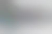 Web Image Searching