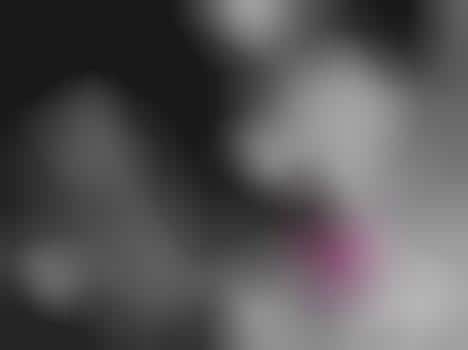 Controversial Energy Powder