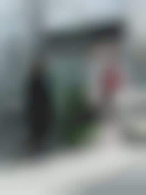 Japanese Robot Carries Luggage