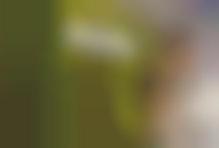 Fake Soil Saves Planet