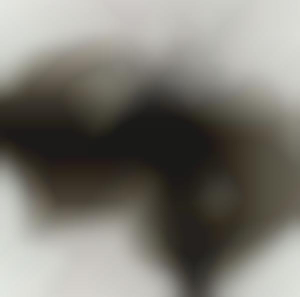 Sultry Soot Illustrations (UPDATE)