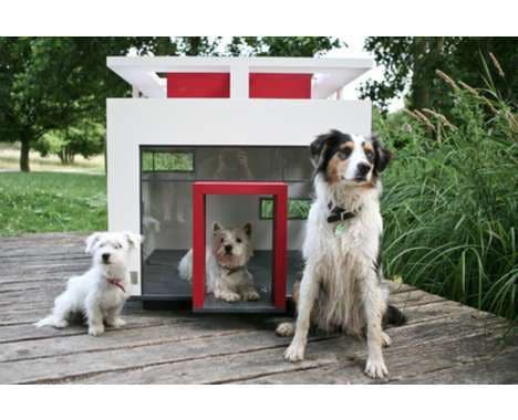 20 Darling Doghouses