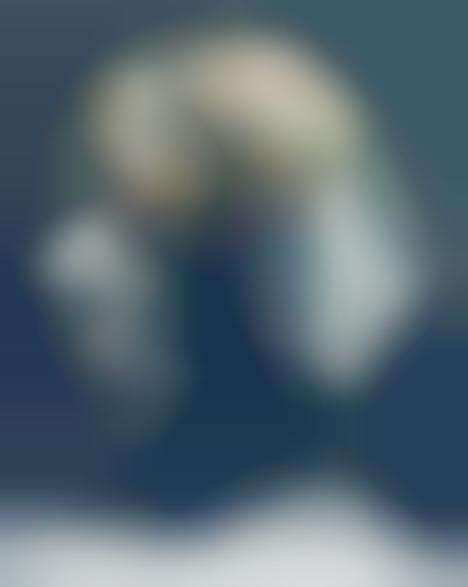 Sherpa-Chic Photography