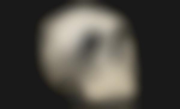 Victorian Skull Scenes