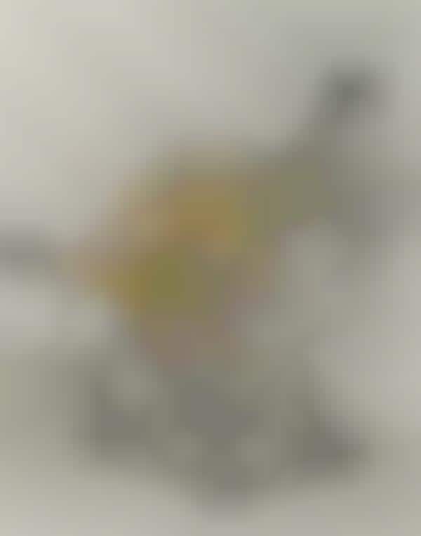 Translucent Solar Windows