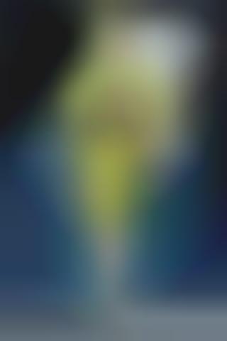 Luxe Lime Green Collections (UPDATE)