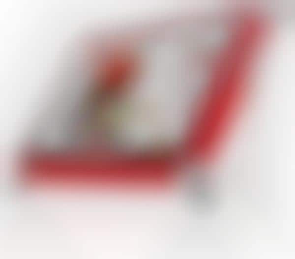 Digital Cookbooks