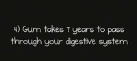 Myth-Busting Viral Videos Image 7