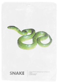 Geometric Animal Artistry Image 6