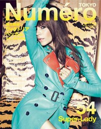 Posh Mom Covers Image 2
