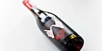 Saucy Gesture Branding Image 2