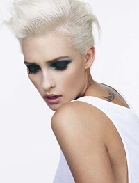 Posh Platinum Beautorials Image 2