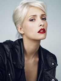 Posh Platinum Beautorials Image 4