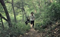 Wandering Rebel Shoots Image 7