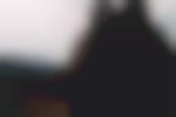 Misty Musician Shoots