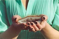 Wanderlust Travelling Pictorials Image 8