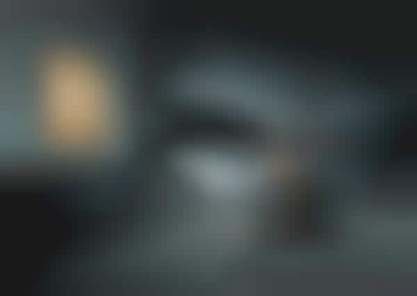Hidden Speaker Systems