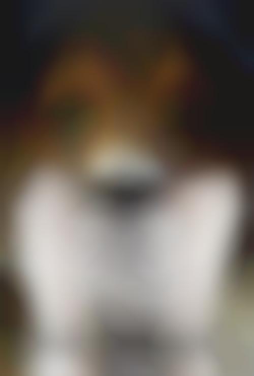 Canine Award Show Remixes