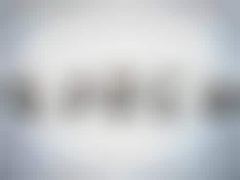 Anatomical-Inspired Accessories