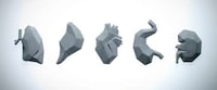 Anatomical-Inspired Accessories Image 2