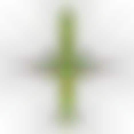 Plane Underbelly Photography