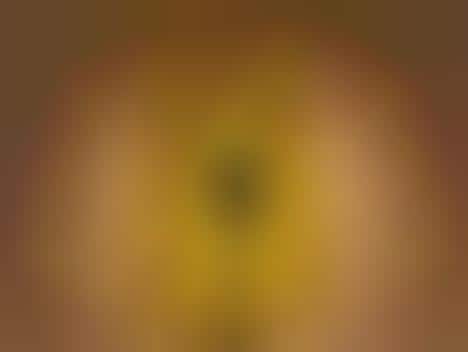 Counterfeit Cup Lamps