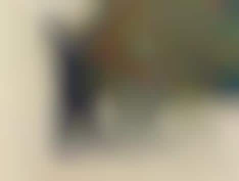 Chromatic Streak Collages