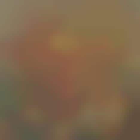 Colossal Comic Collages