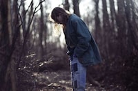 Wood Roaming Captures Image 6