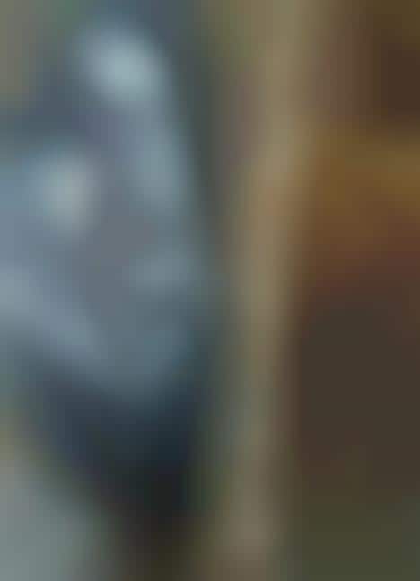 Apocalyptic Maternal Art