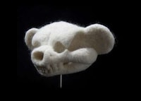 Spooky Stuffed Animal Skulls Image 2