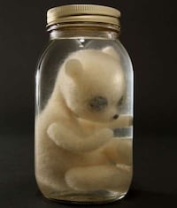Spooky Stuffed Animal Skulls Image 3