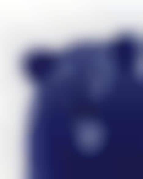 Bestial Cobalt Portraits