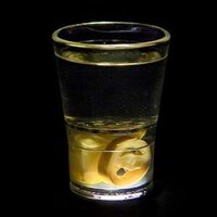 Clever Compartmentalized Shooters Image 5