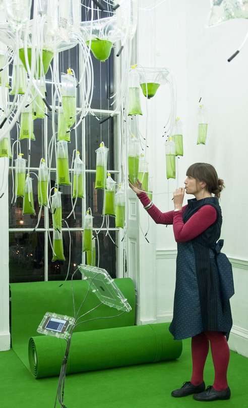 Gadget-Dependent Gardens