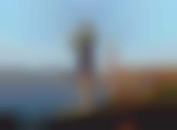 City Backdrop Lookbooks