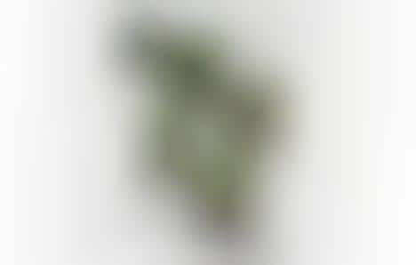 Vertical Compartment Gardens