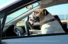 Adorable Dog-Driving Ads