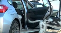 Adorable Dog-Driving Ads Image 2