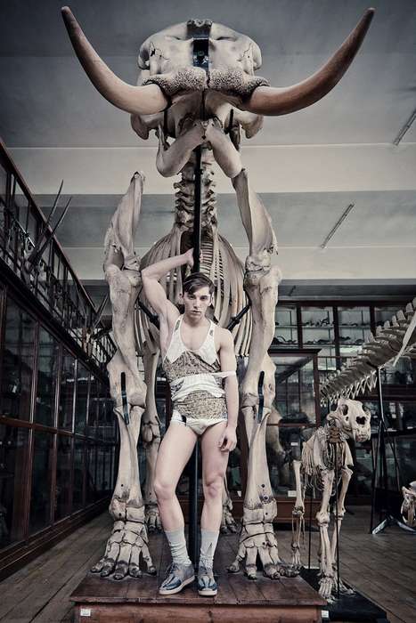 Designer Dinosaur Lookbooks