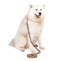 Masterpiece Canine Constraints Image 2