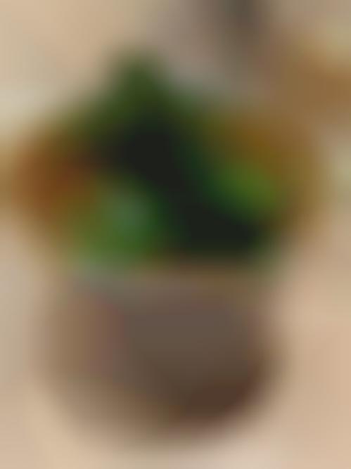 Unappealing Meal Blogs