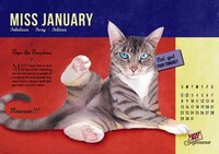 Cat Pin-Up Posters  Image 2