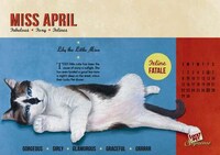 Cat Pin-Up Posters  Image 4