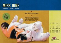 Cat Pin-Up Posters  Image 6